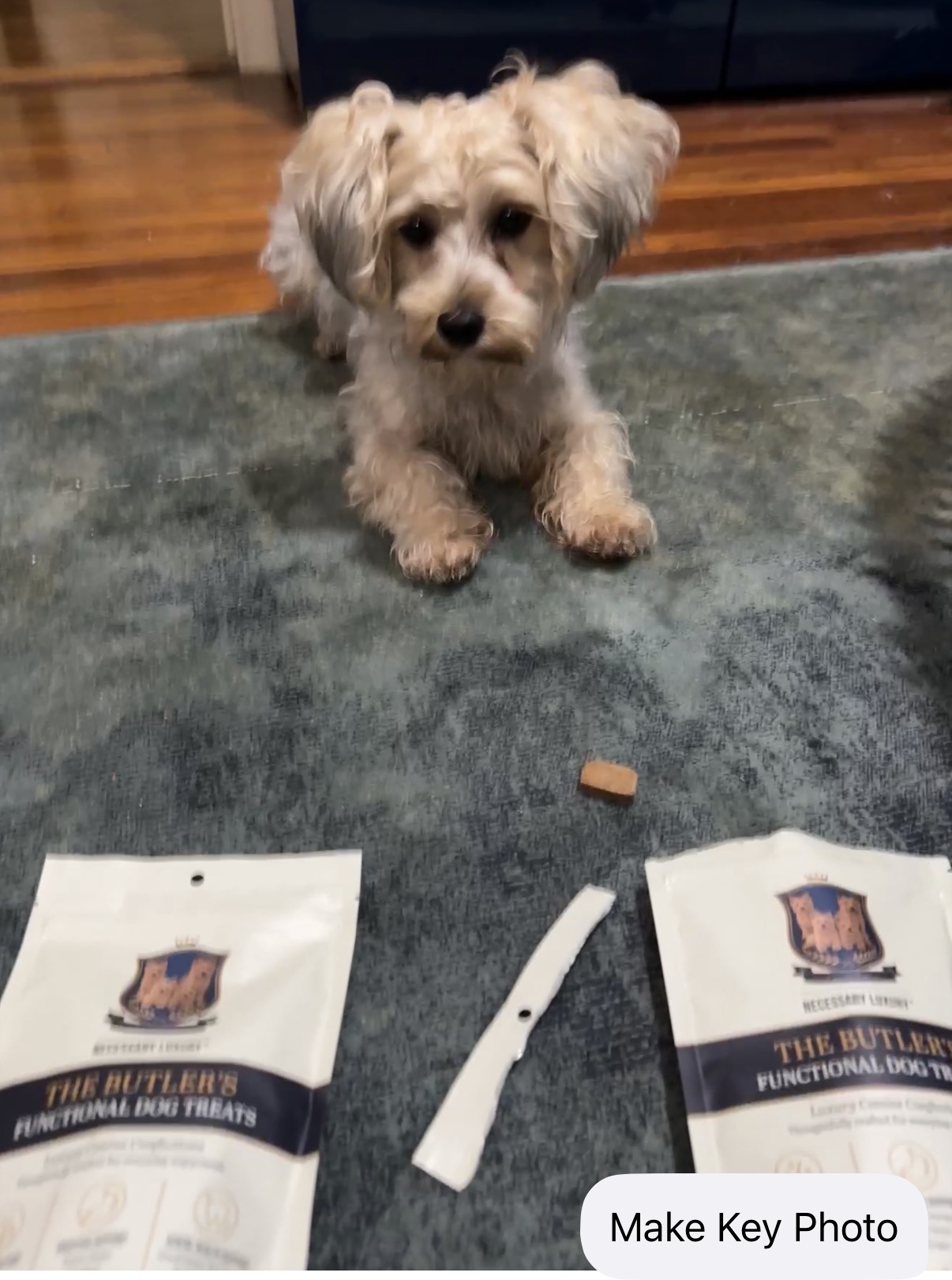 Beezu, reviewed on Paws & Praise