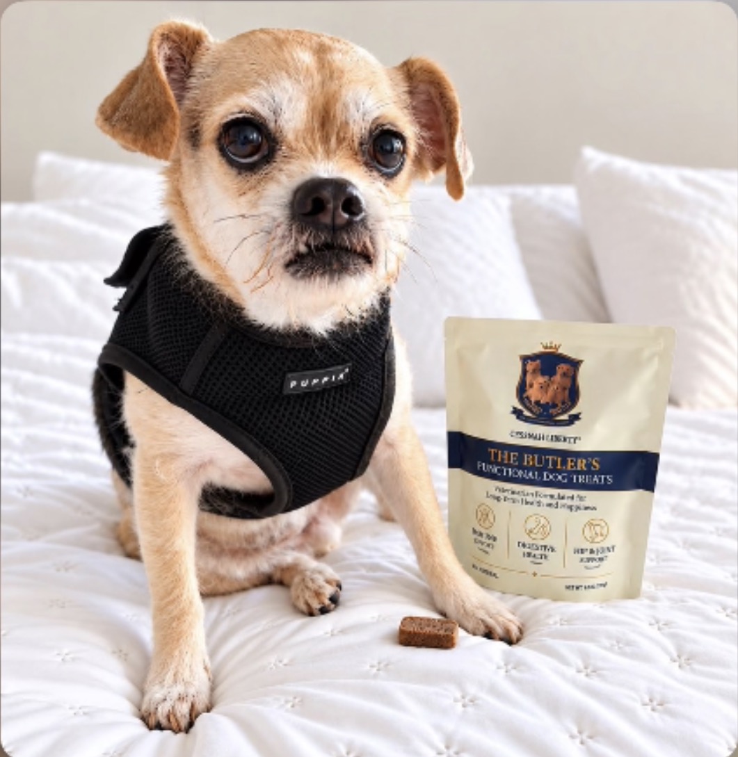 Buddy, reviewed on Paws & Praise